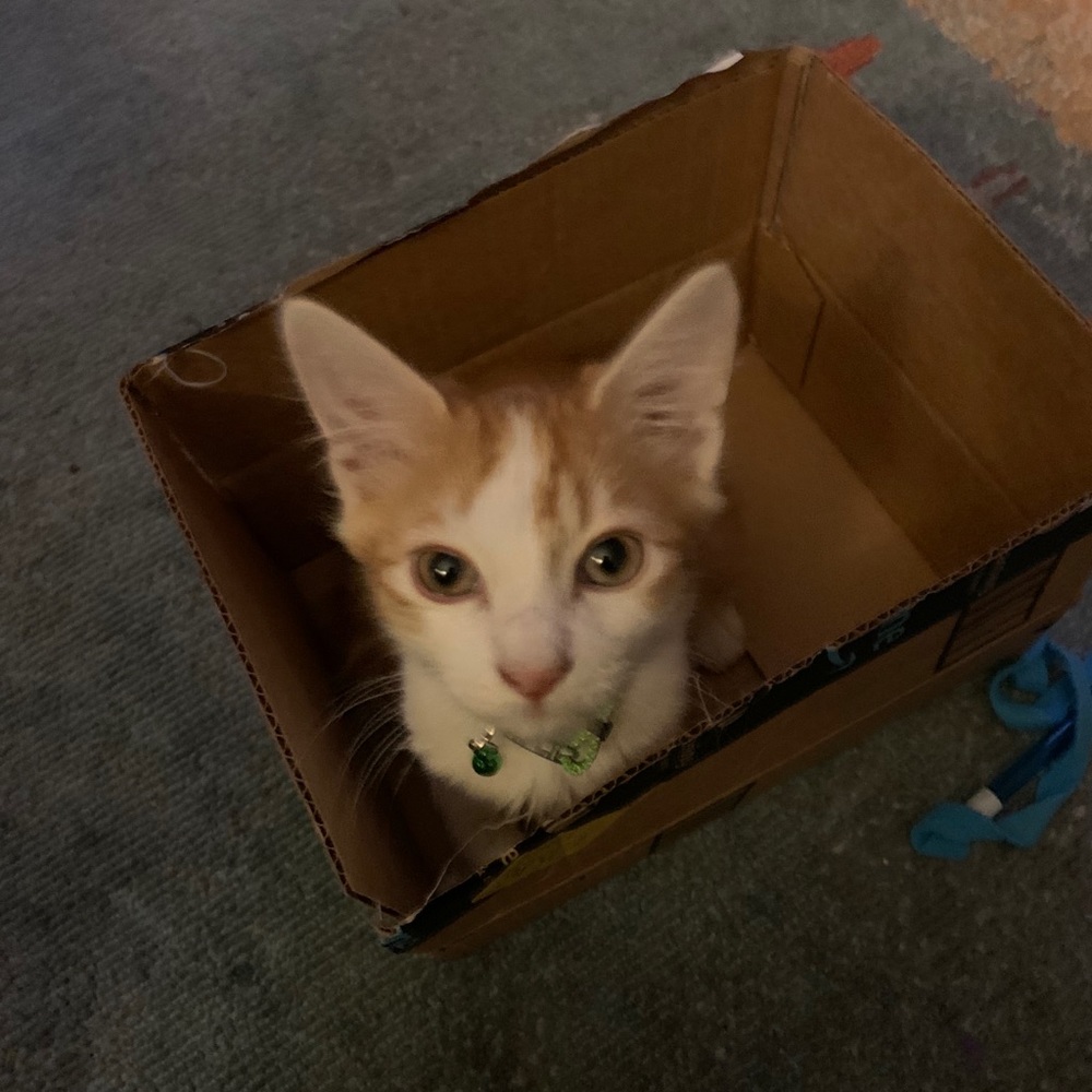 Meet your Posher, Heather